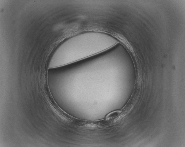 X0000085250441200703090951