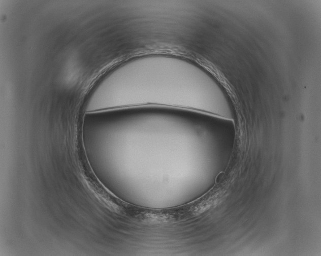 X0000085250442200703090952