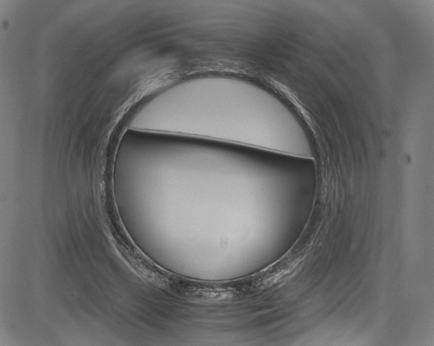 X0000085250443200703090952