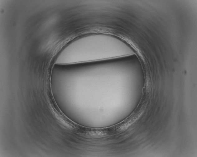 X0000085250445200703090952