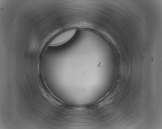 X0000085250446200703090952