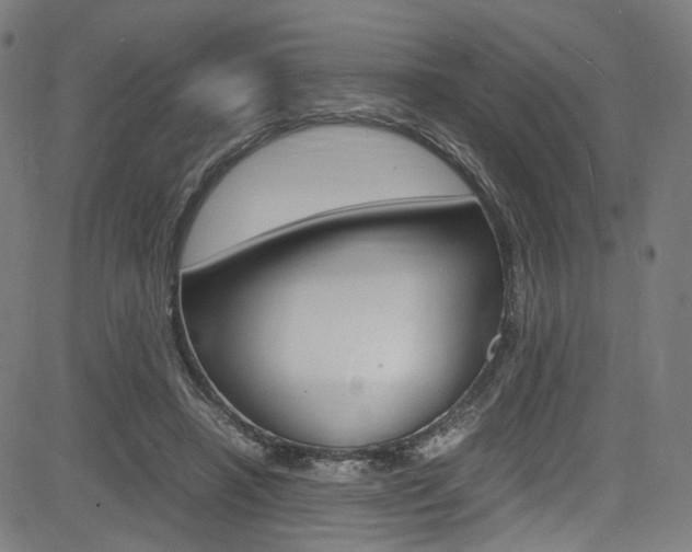 X0000085250450200703090952