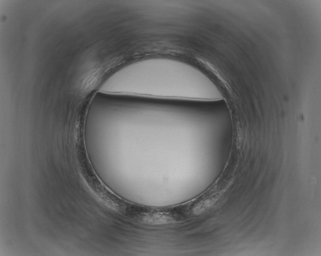 X0000085250451200703090952