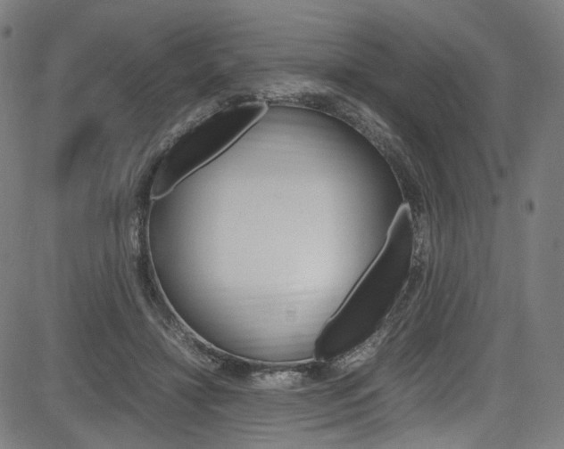 X0000085250452200703090952