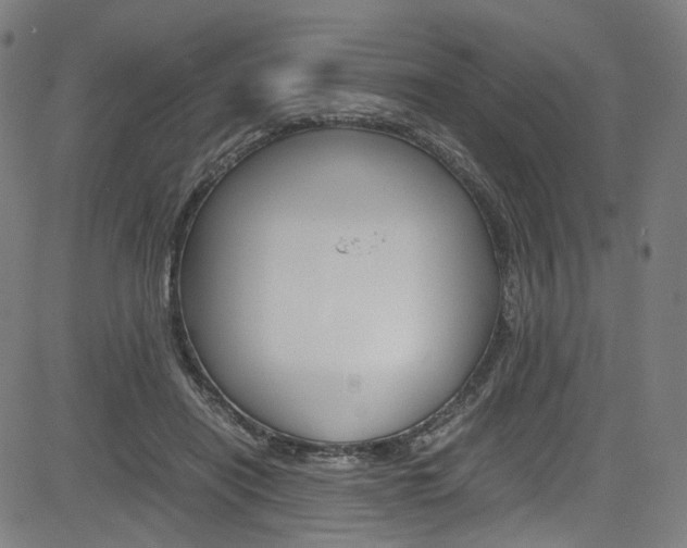 X0000085250454200703090952