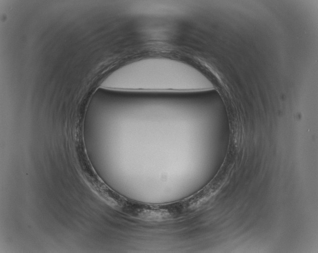 X0000085250455200703090952