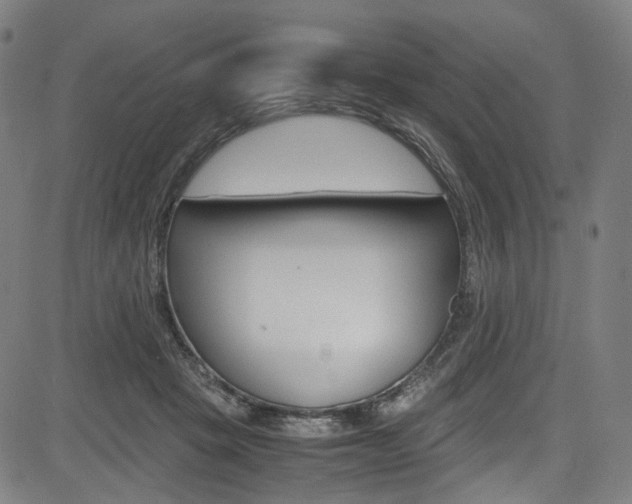 X0000085250457200703090952