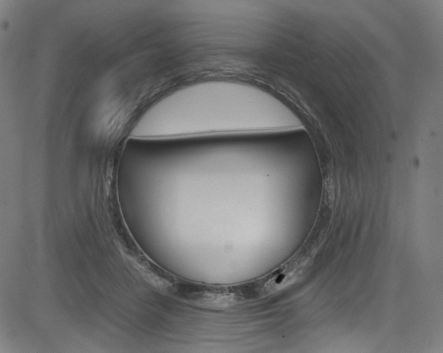 X0000085250458200703090952