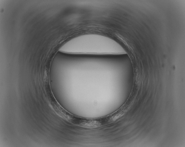 X0000085250459200703090952