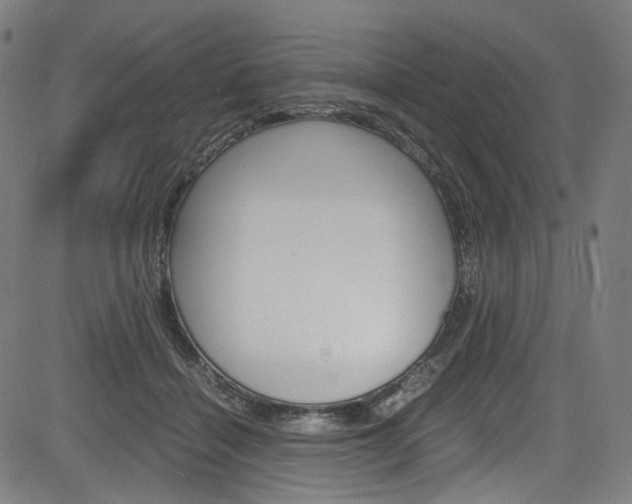 X0000085250460200703090952