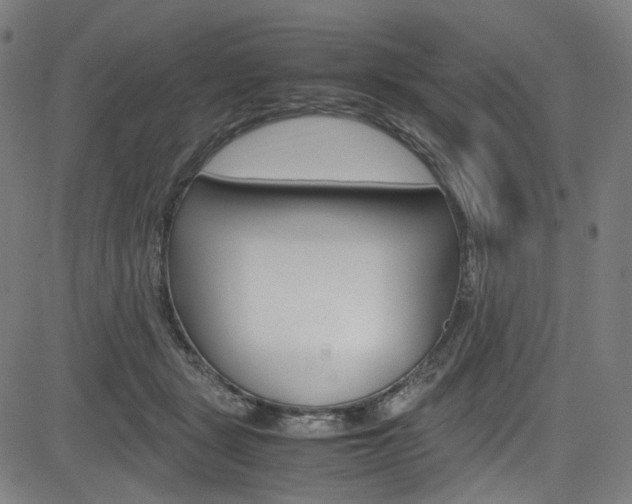 X0000085250461200703090952