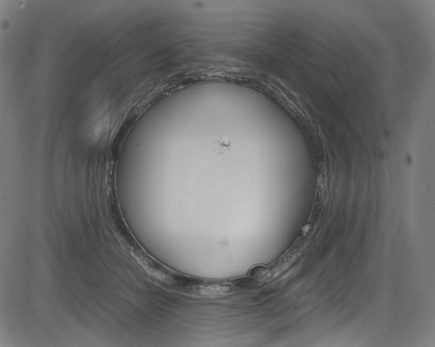 X0000085250462200703090952