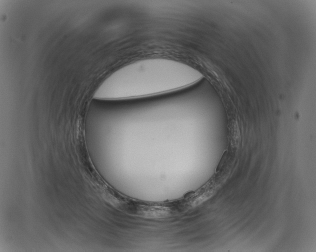 X0000085250463200703090952