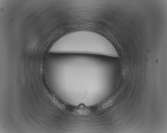 X0000085250466200703090952