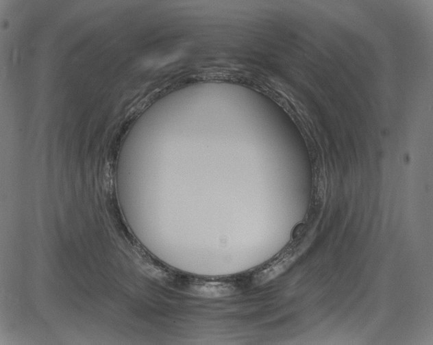 X0000085250467200703090952