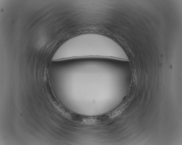 X0000085250470200703090952