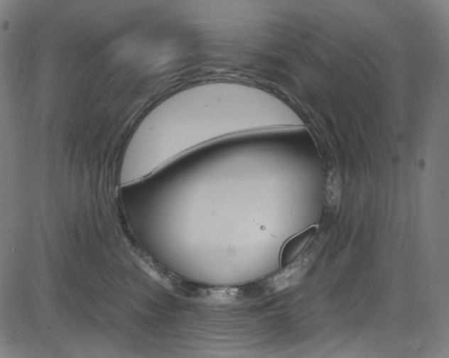 X0000085250474200703090952