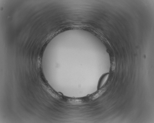 X0000085250476200703090952