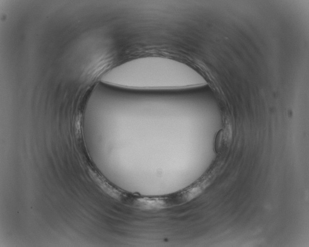 X0000085250477200703090952