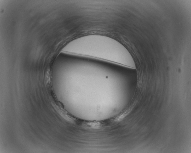 X0000085250478200703090952