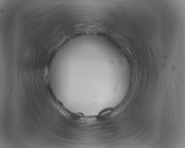 X0000085250480200703090952