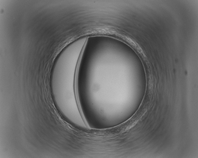 X0000085250481200703090951