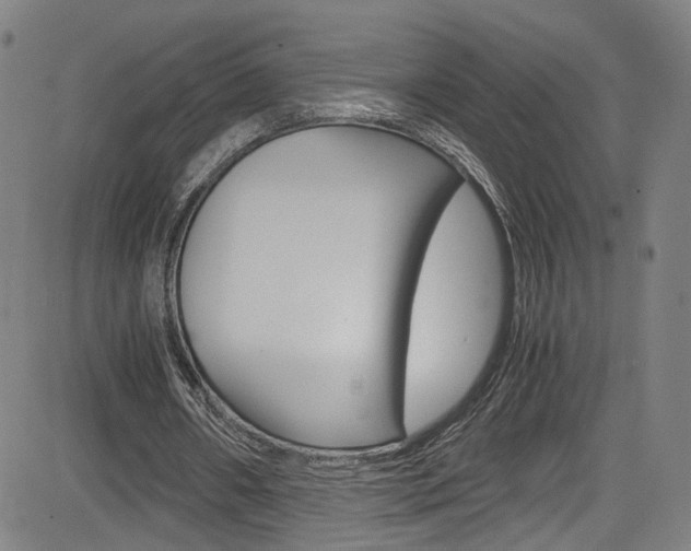 X0000085250482200703090951