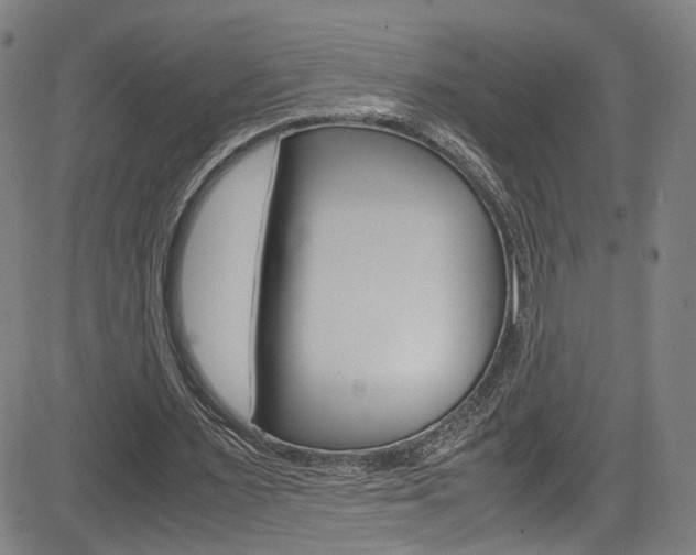 X0000085250483200703090951