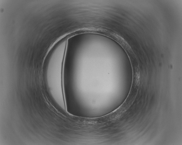 X0000085250484200703090951