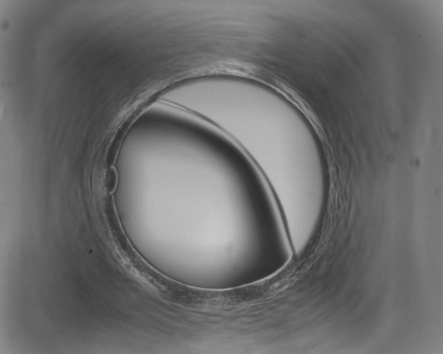 X0000085250485200703090951