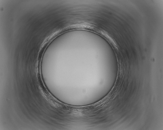 X0000085250486200703090951