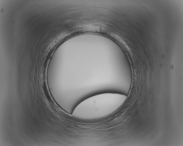 X0000085250487200703090951