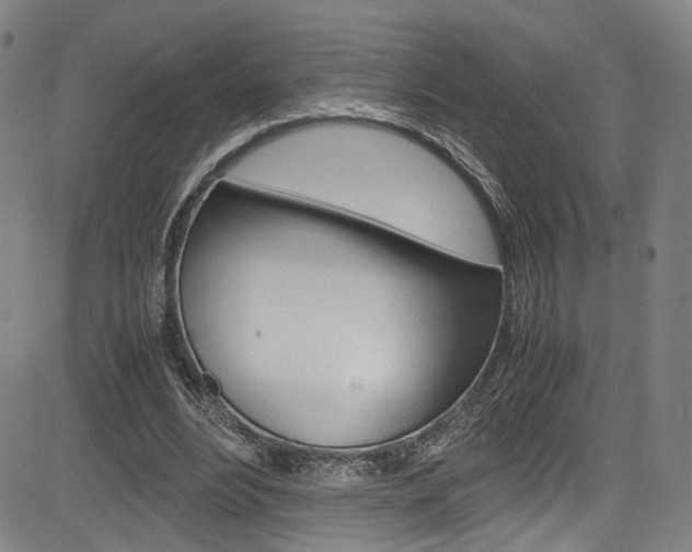 X0000085250488200703090951