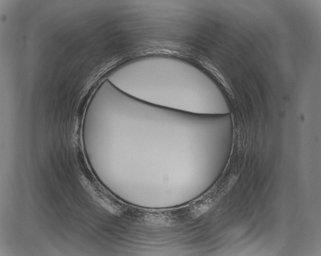 X0000085250490200703090951