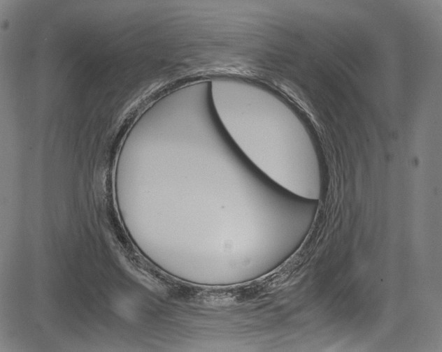 X0000085250491200703090951