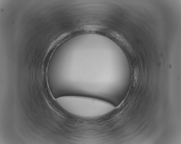 X0000085250492200703090951