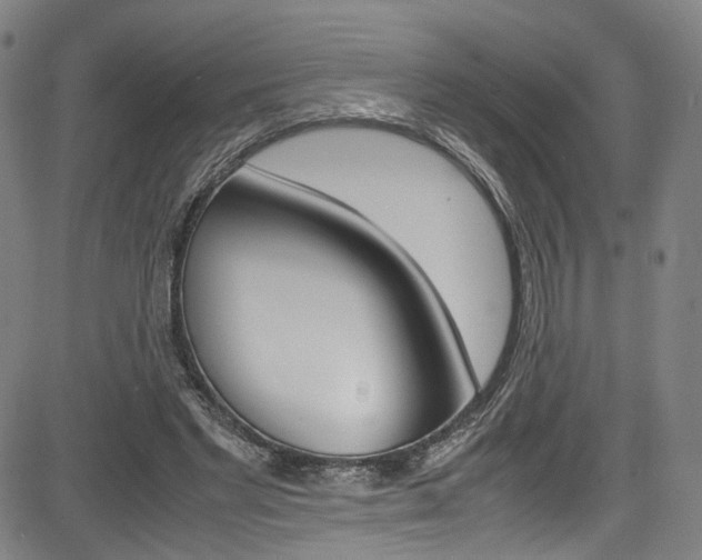 X0000085250493200703090951