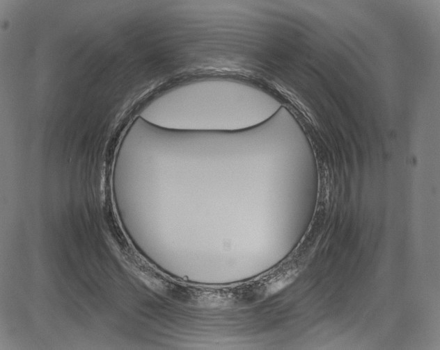 X0000085250494200703090951