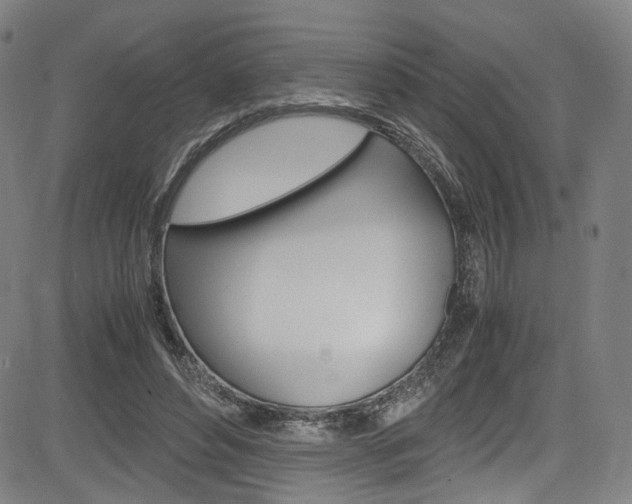 X0000085250496200703090951