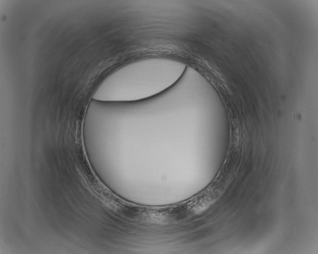 X0000085250498200703090951