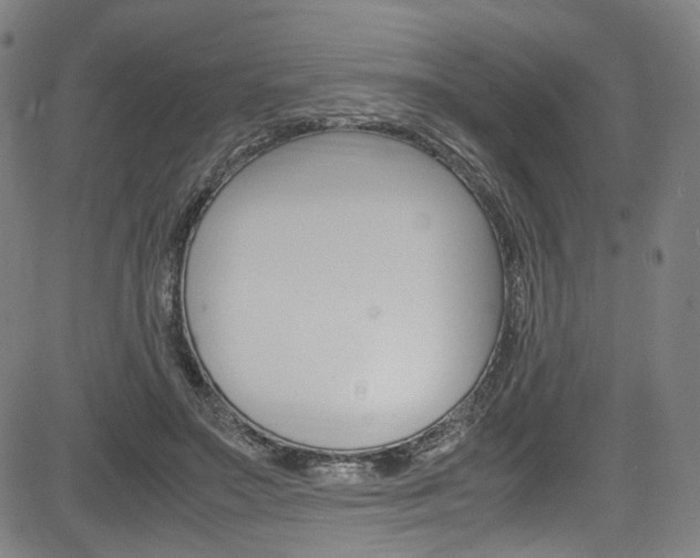 X0000085250499200703090951