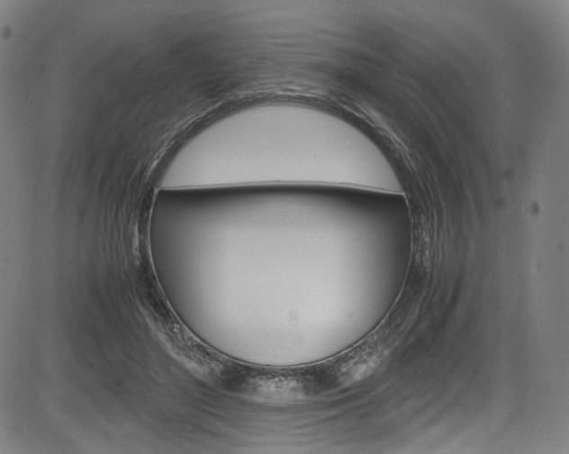 X0000085250500200703090951