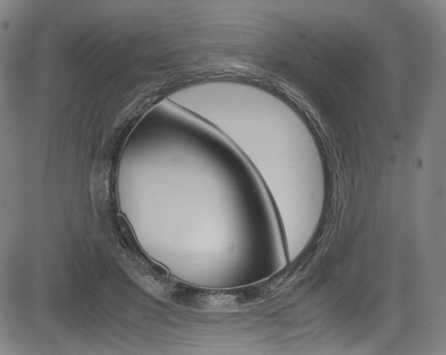 X0000085250501200703090951