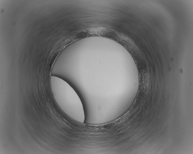 X0000085250502200703090951