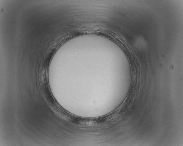 X0000085250503200703090951