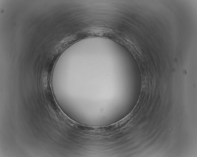 X0000085250504200703090951