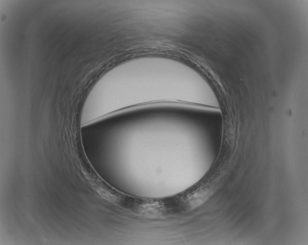 X0000085250505200703090951