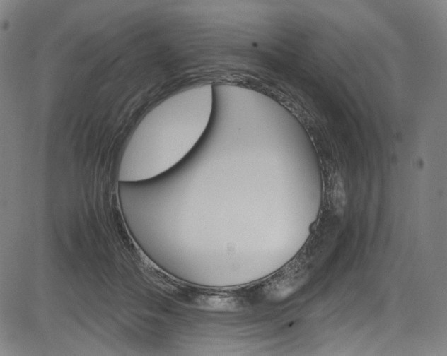 X0000085250506200703090951