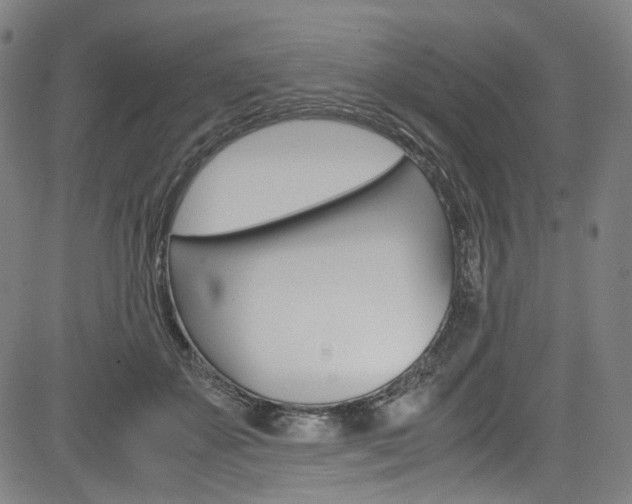 X0000085250507200703090951