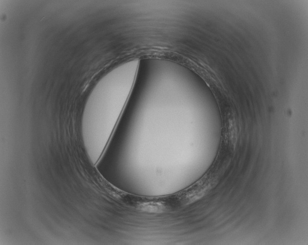 X0000085250508200703090951